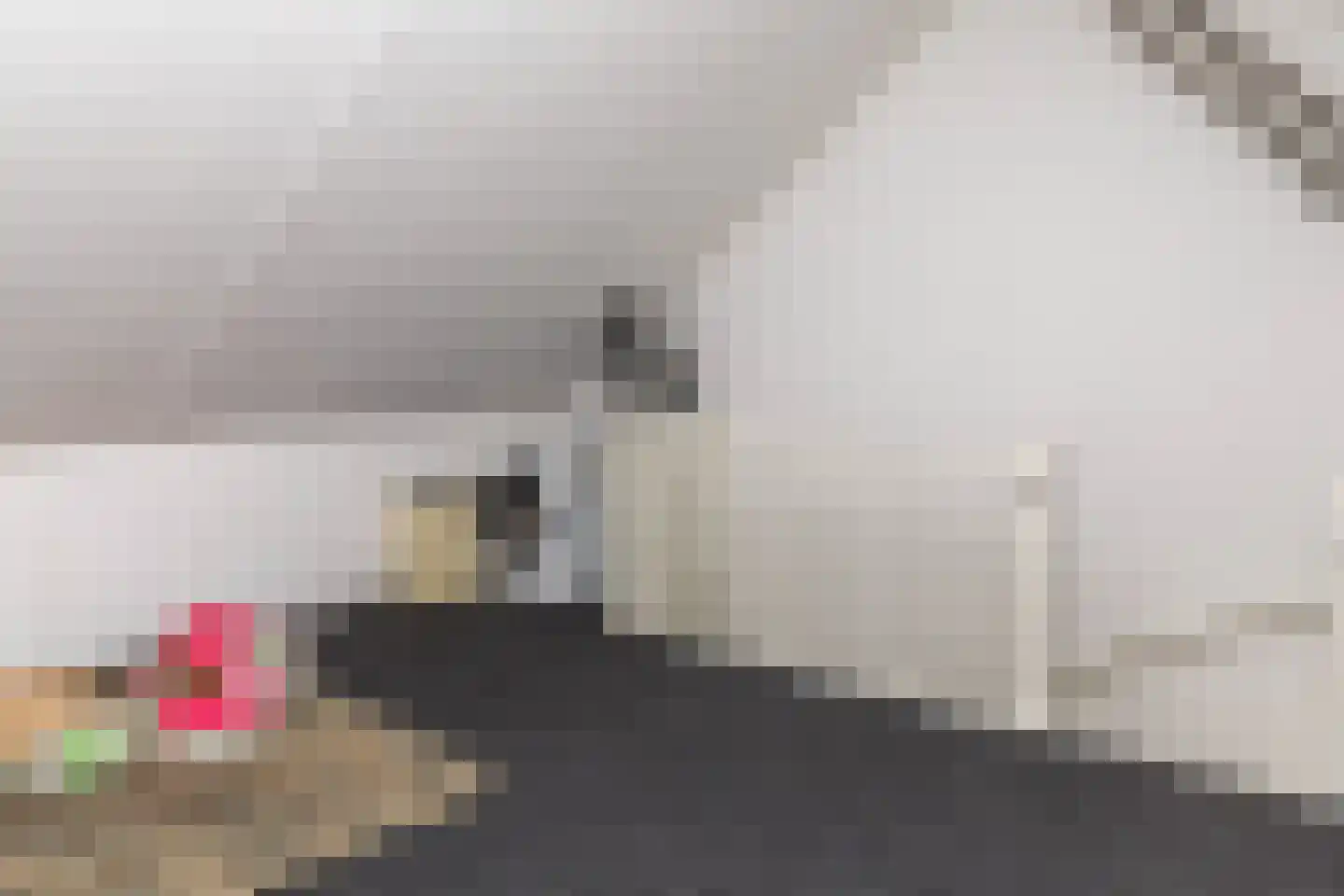 De Ochtense Steegh 8 Ochten thumbnail 37