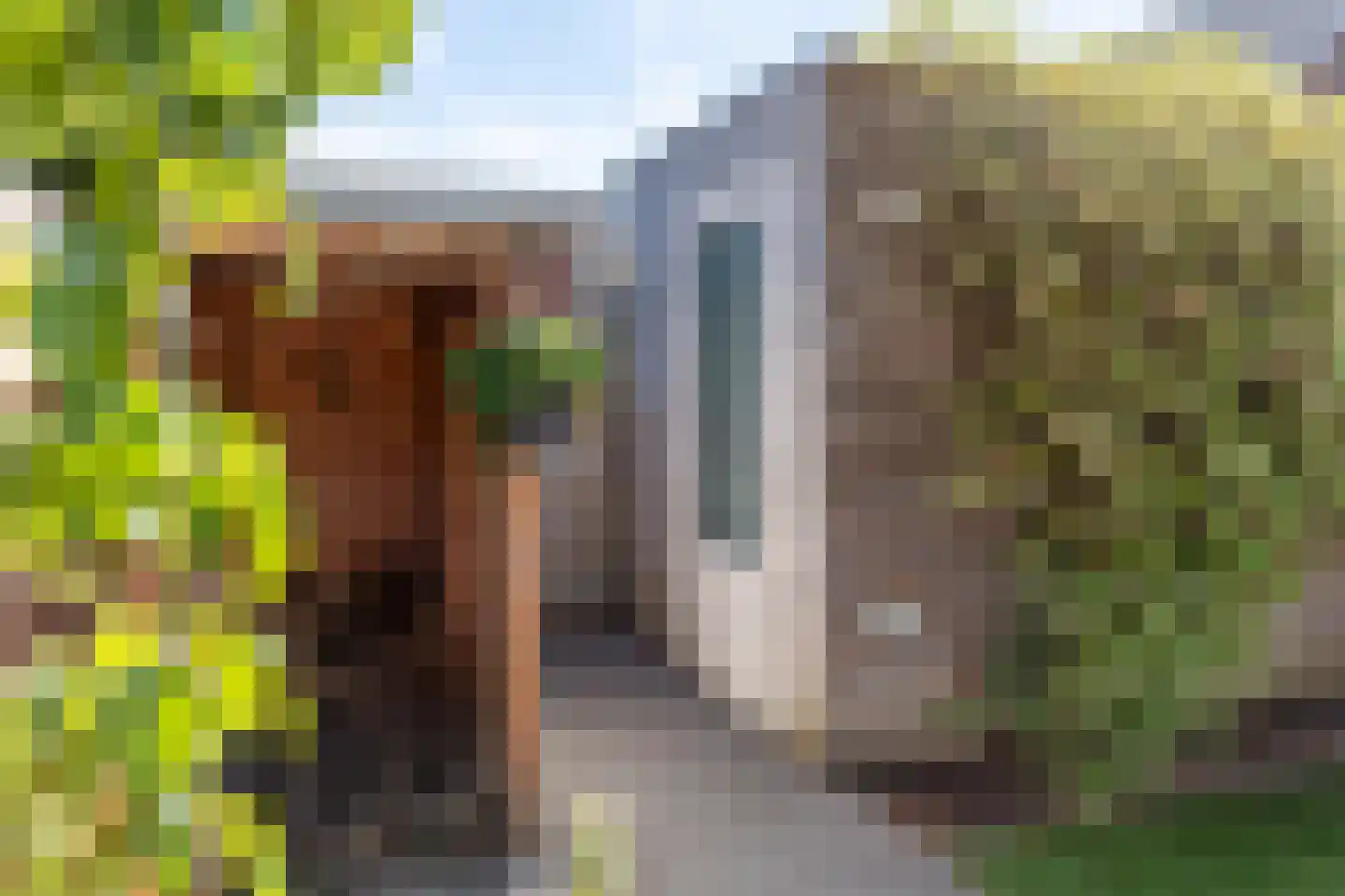 De Ochtense Steegh 8 Ochten thumbnail 41
