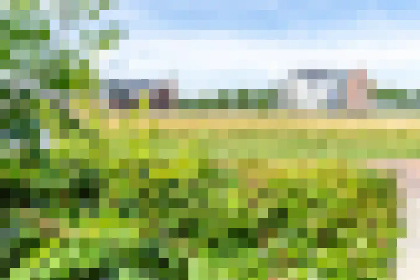 De Ochtense Steegh 8 Ochten thumbnail 48