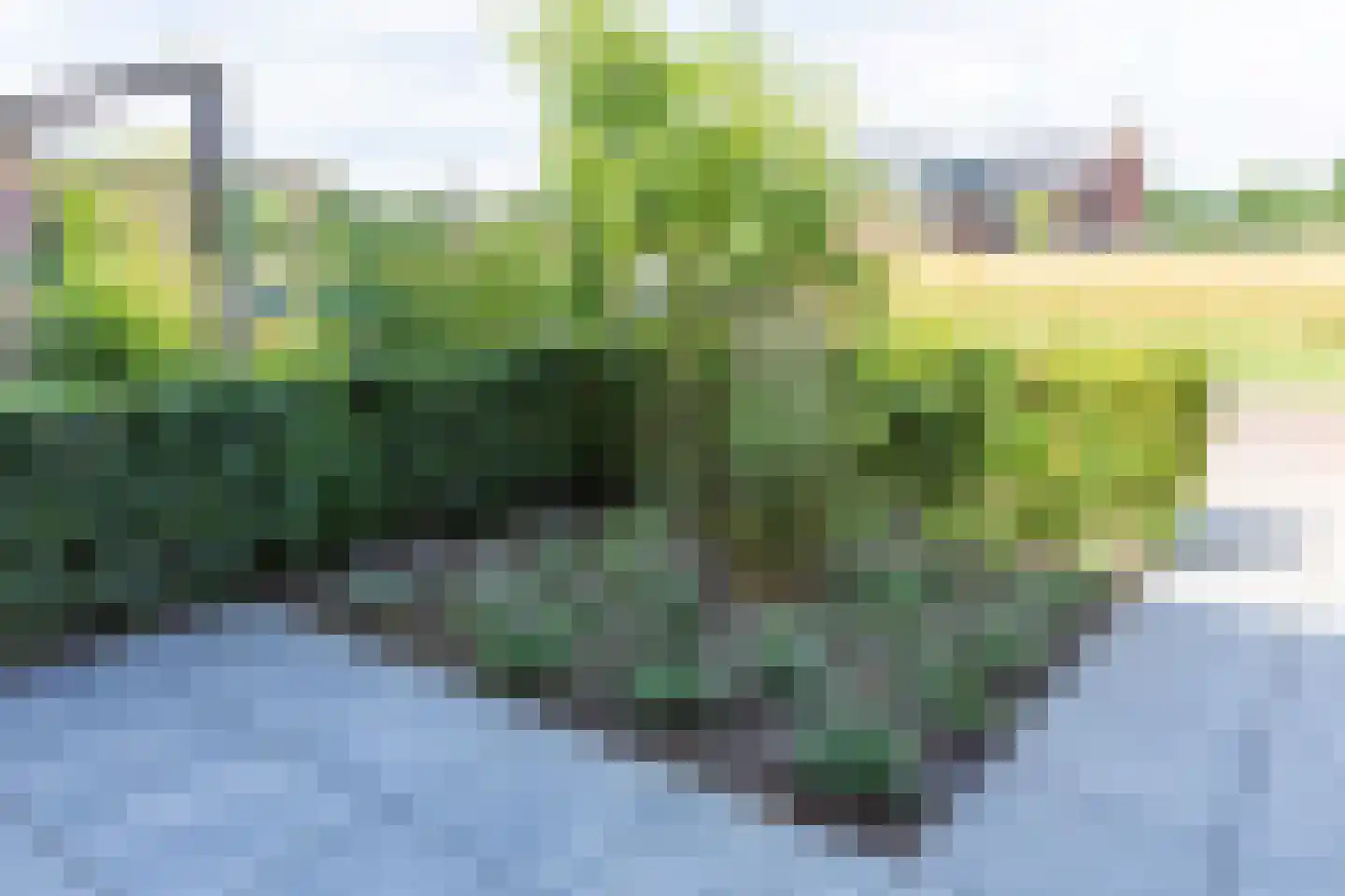 De Ochtense Steegh 8 Ochten thumbnail 49