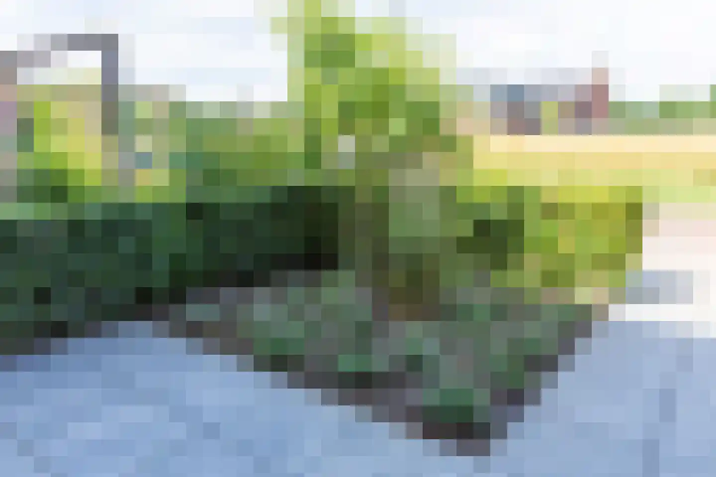 De Ochtense Steegh 8 Ochten thumbnail 49