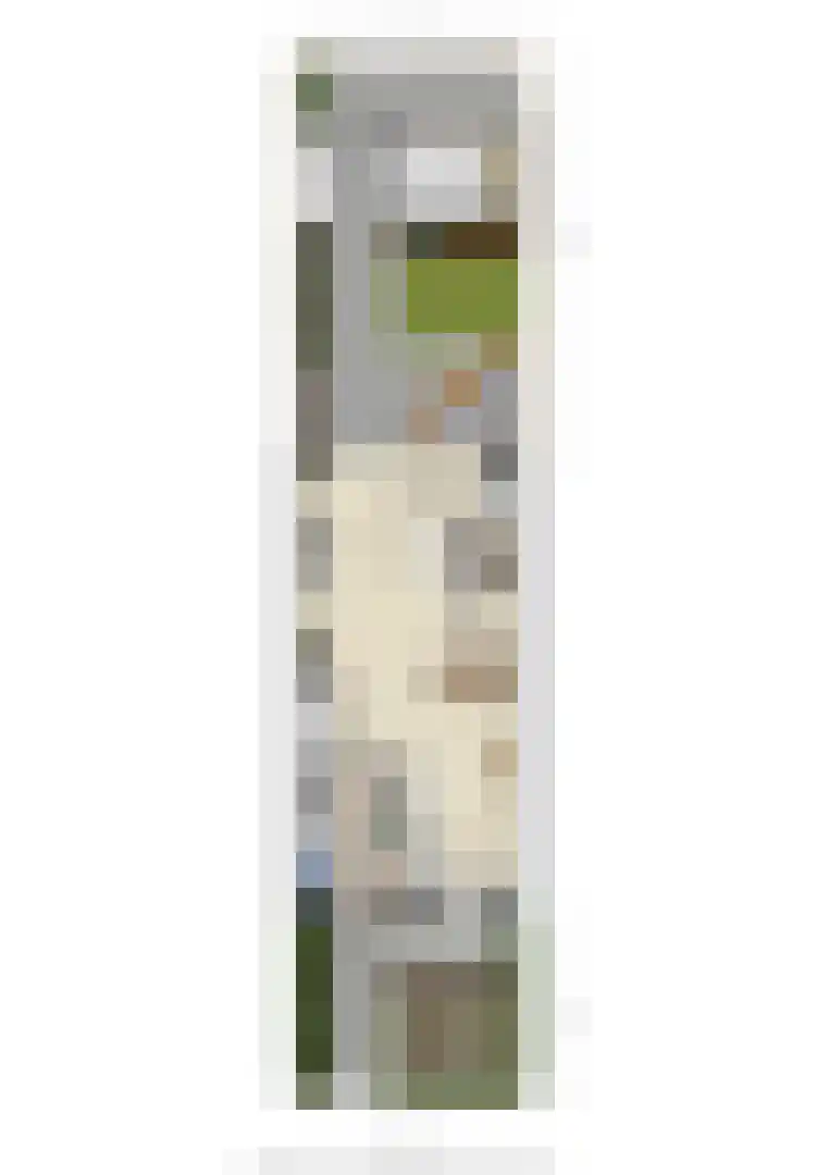 De Ochtense Steegh 8 Ochten thumbnail 82