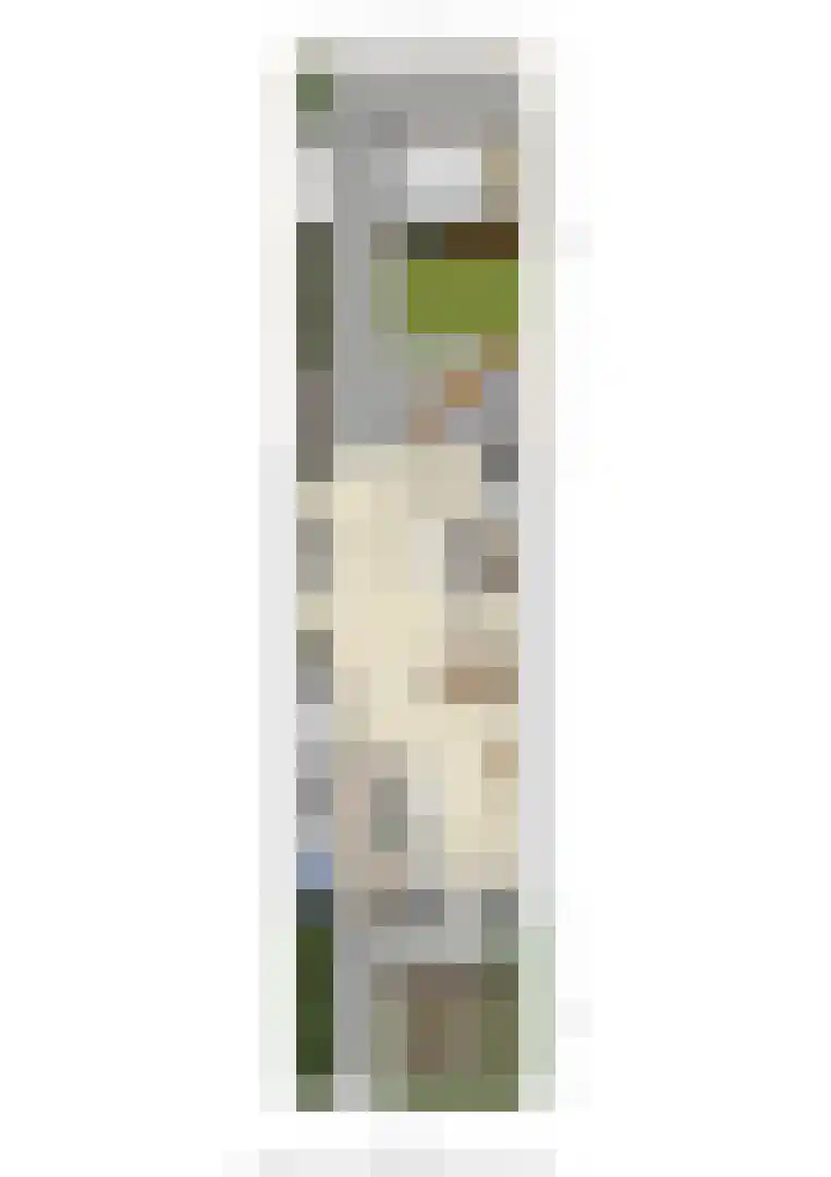 De Ochtense Steegh 8 Ochten thumbnail 82