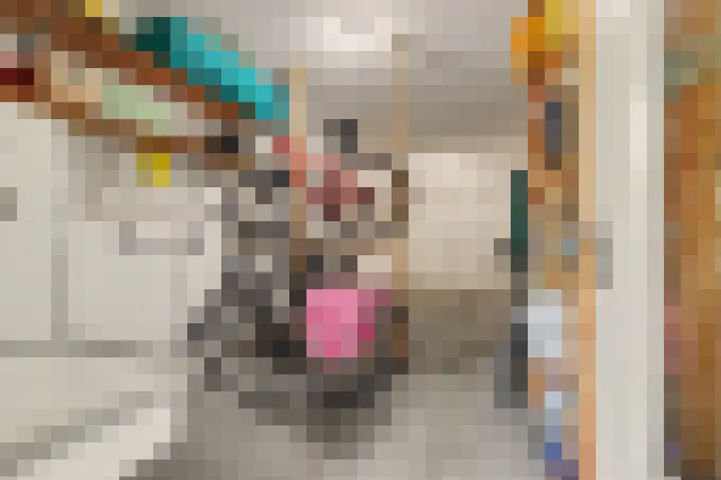 De Oder 9 Drunen thumbnail 14