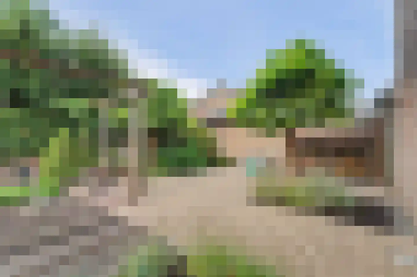 De Oder 9 Drunen thumbnail 42