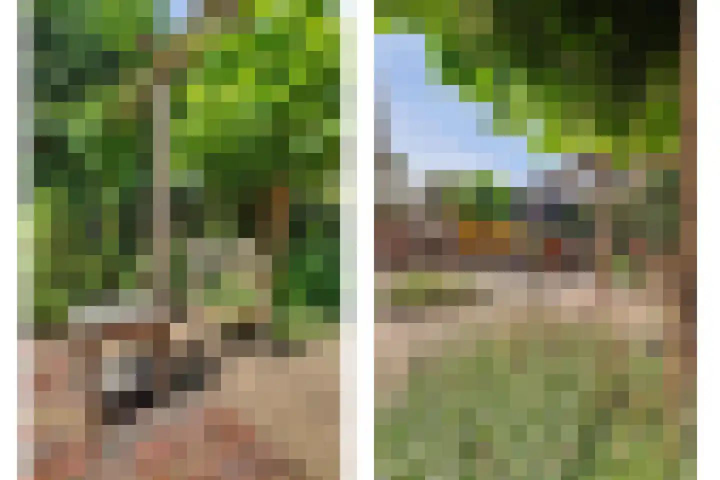 De Oder 9 Drunen thumbnail 43