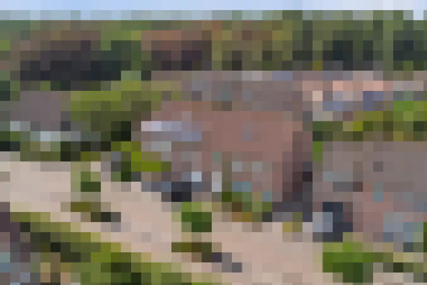 De Oder 9 Drunen thumbnail 48
