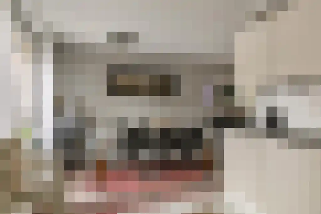 De Oehoe 13 Almelo thumbnail 10
