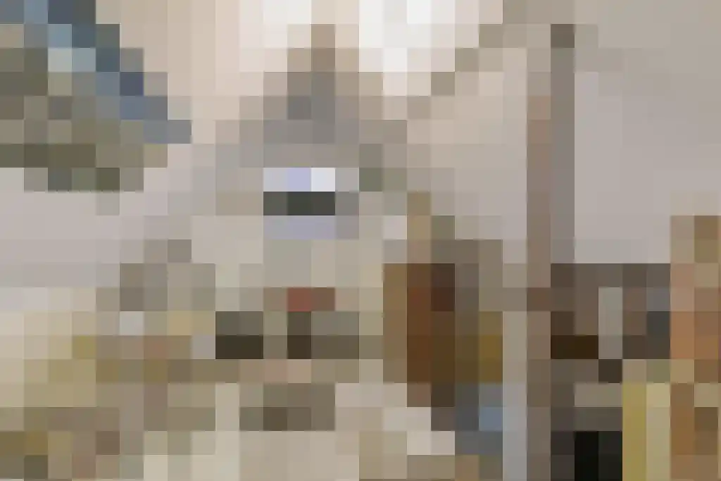 De Oehoe 13 Almelo thumbnail 22