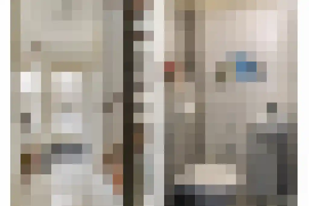 De Oehoe 13 Almelo thumbnail 6