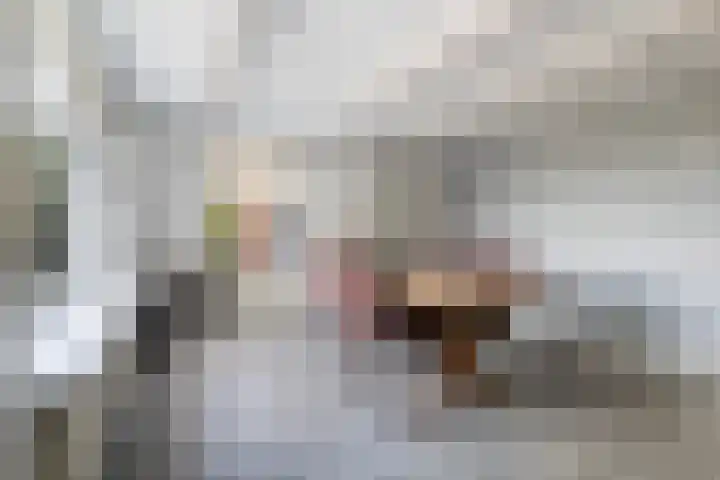 De Oere 20 Moddergat thumbnail 25