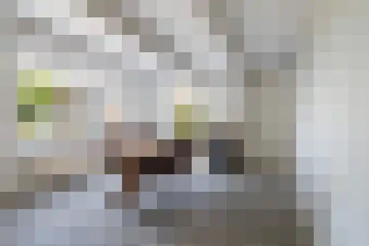 De Oere 20 Moddergat thumbnail 27