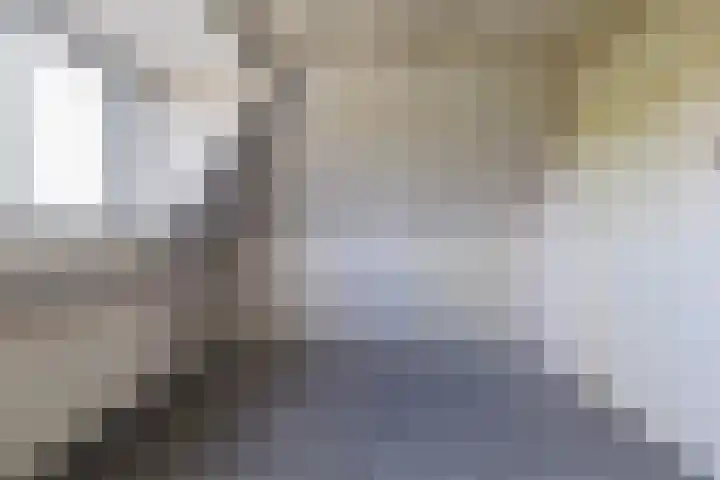 De Oere 20 Moddergat thumbnail 43