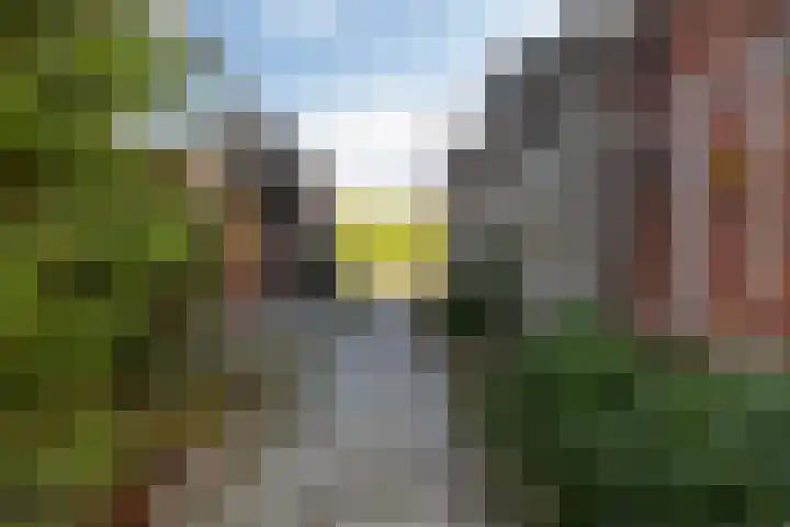 De Oere 20 Moddergat thumbnail 45