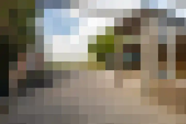 De Oere 20 Moddergat thumbnail 46