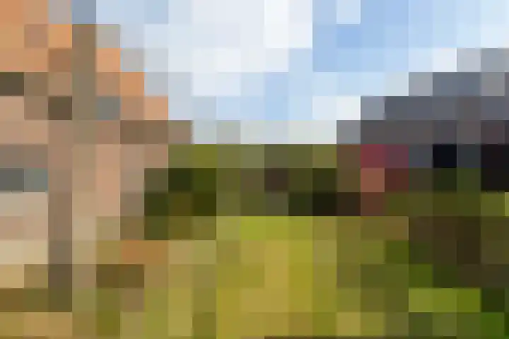 De Oere 20 Moddergat thumbnail 52