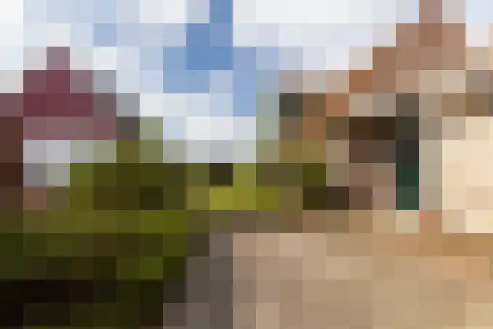 De Oere 20 Moddergat thumbnail 53