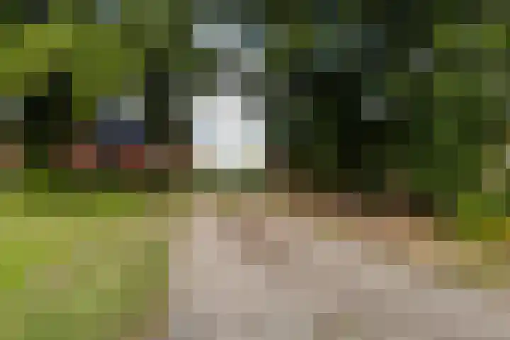 De Oere 20 Moddergat thumbnail 54