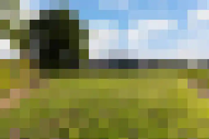 De Oere 20 Moddergat thumbnail 55