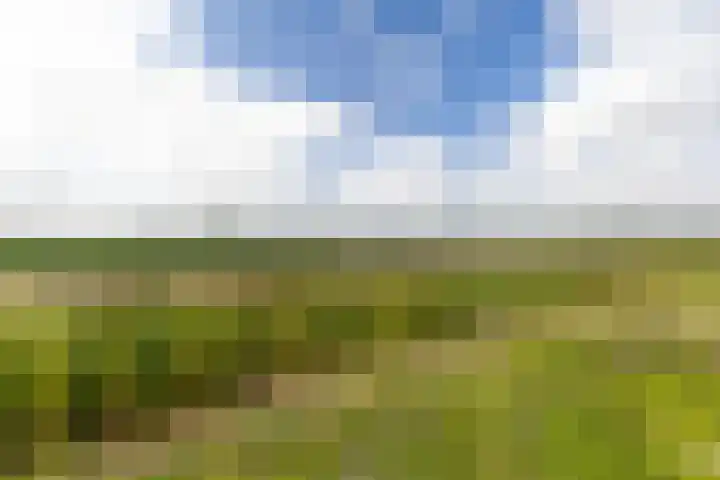 De Oere 20 Moddergat thumbnail 56