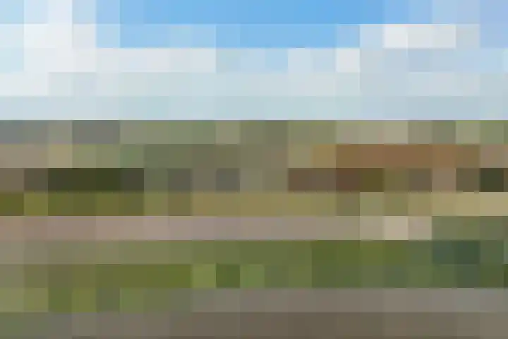 De Oere 20 Moddergat thumbnail 60