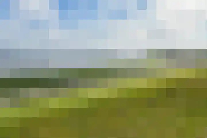 De Oere 20 Moddergat thumbnail 61