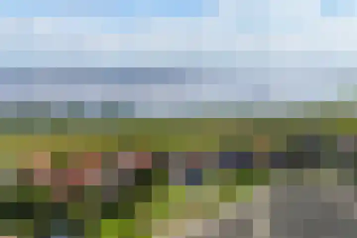 De Oere 20 Moddergat thumbnail 62