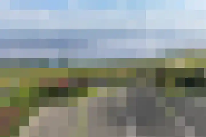 De Oere 20 Moddergat thumbnail 63