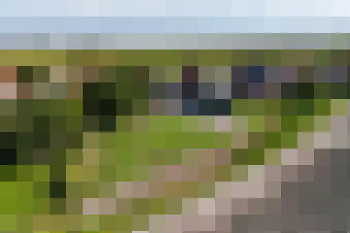 De Oere 20 Moddergat thumbnail 64