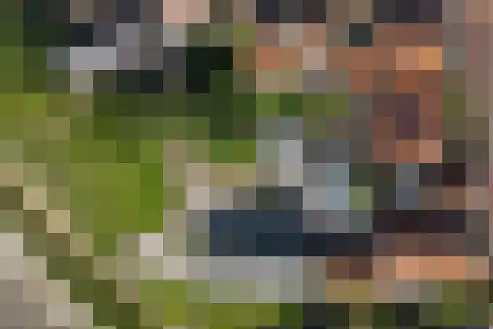 De Oere 20 Moddergat thumbnail 65