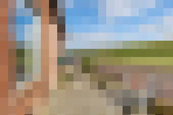 De Oere 20 Moddergat thumbnail 9