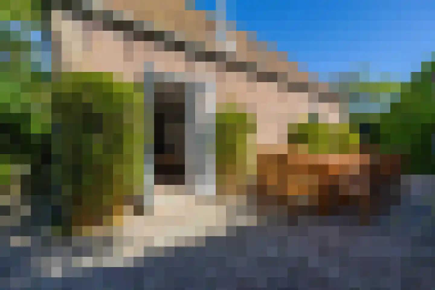 De Oere 8 Moddergat thumbnail 24