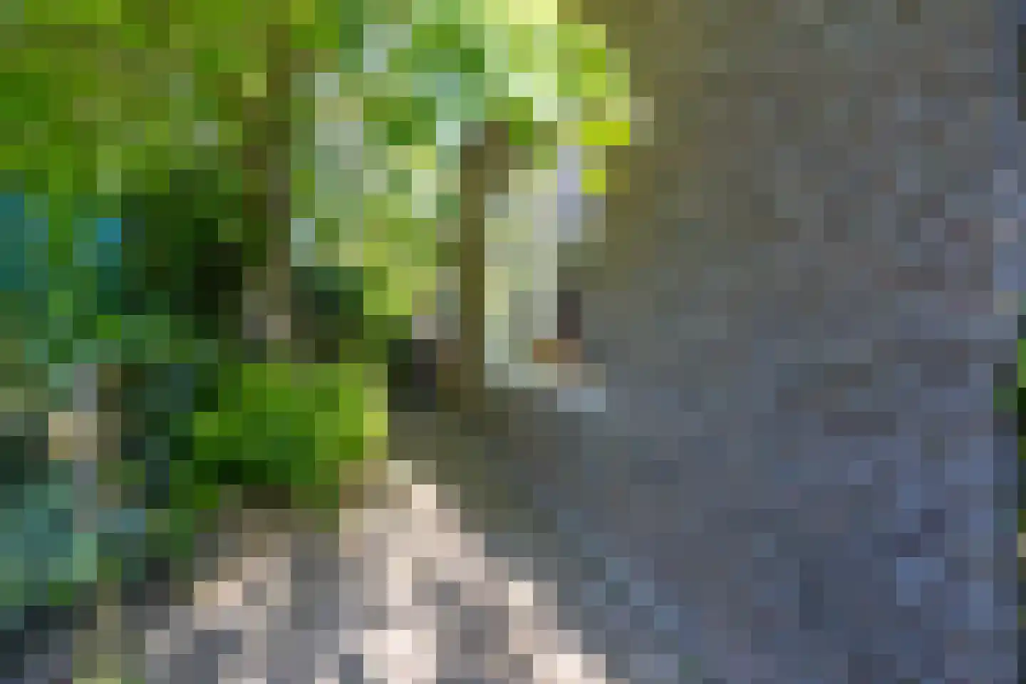 De Oere 8 Moddergat thumbnail 46