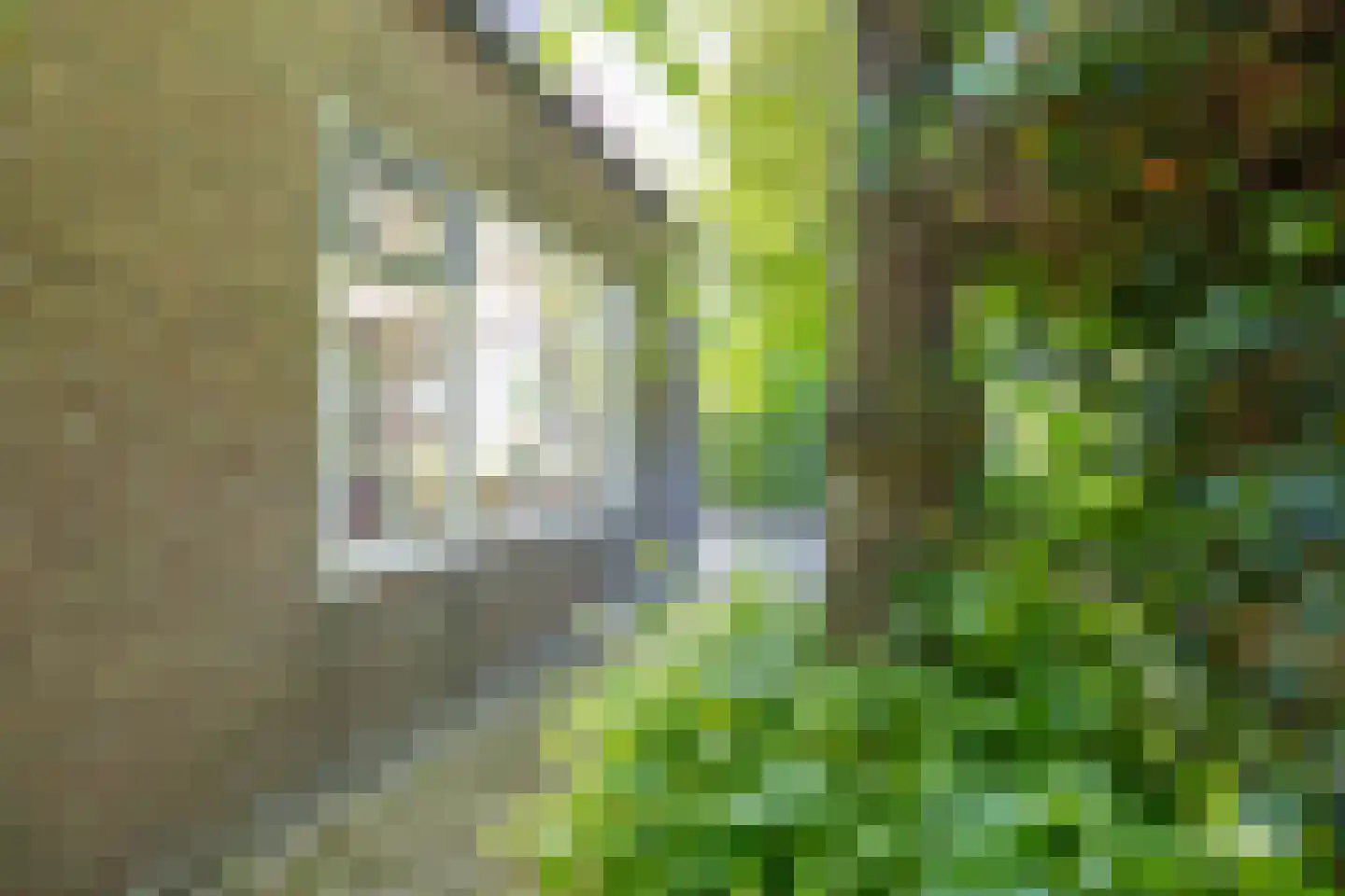 De Oere 8 Moddergat thumbnail 47