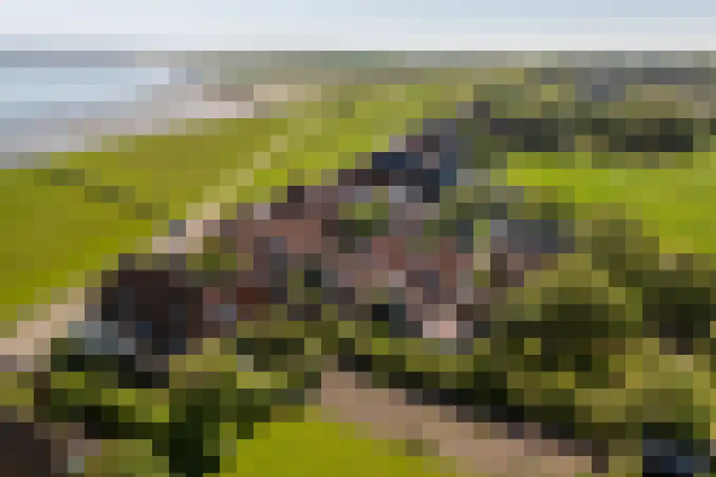 De Oere 8 Moddergat thumbnail 49