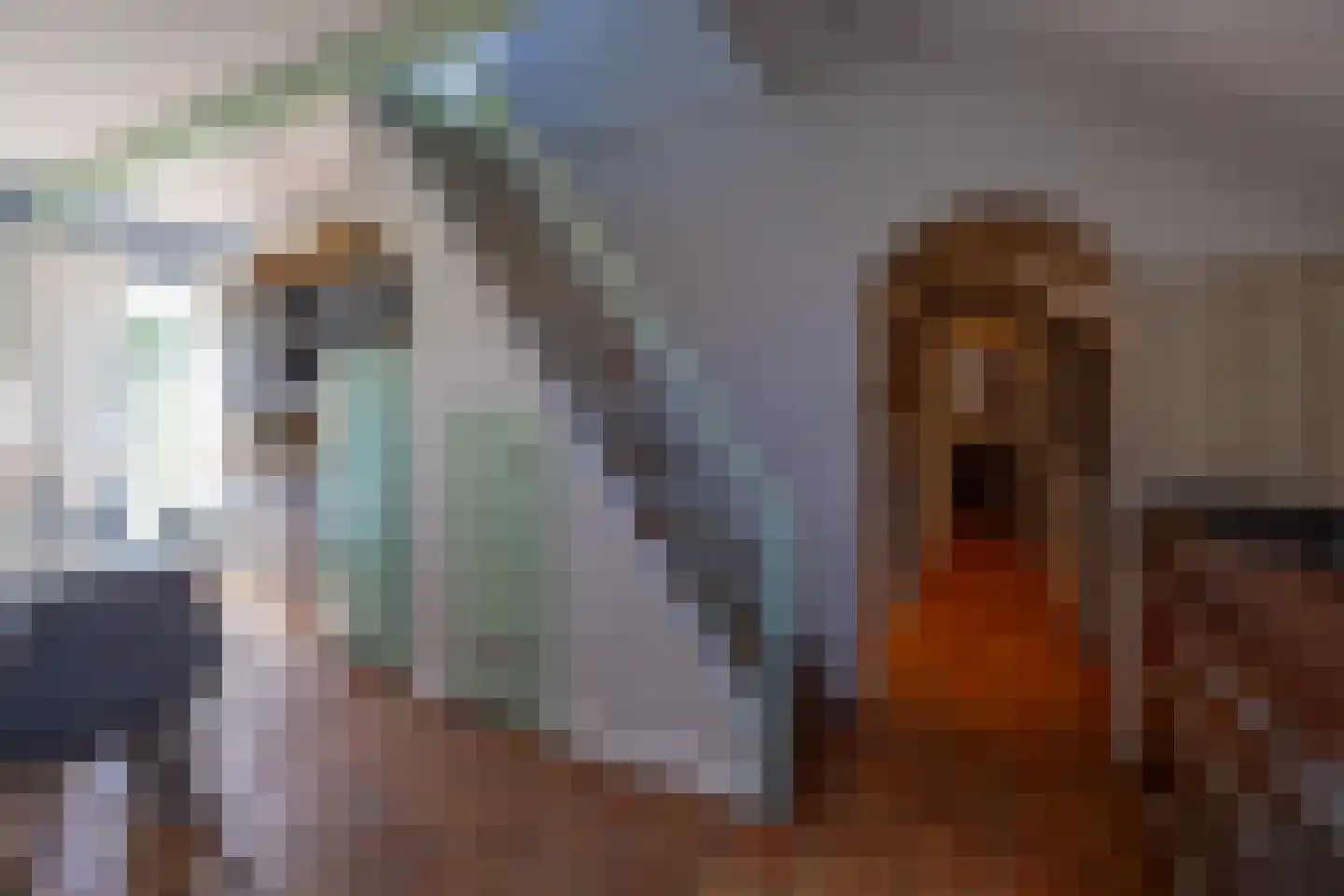 De Oere 8 Moddergat thumbnail 6