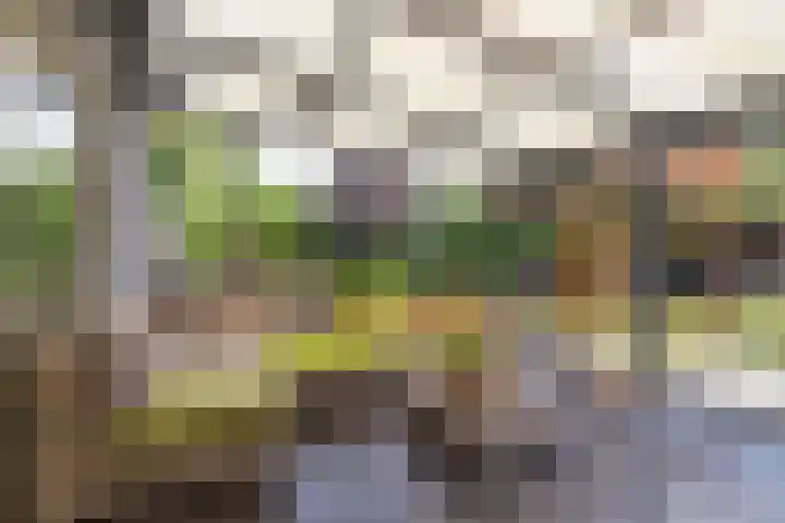 De Oester 8 Kornhorn thumbnail 11