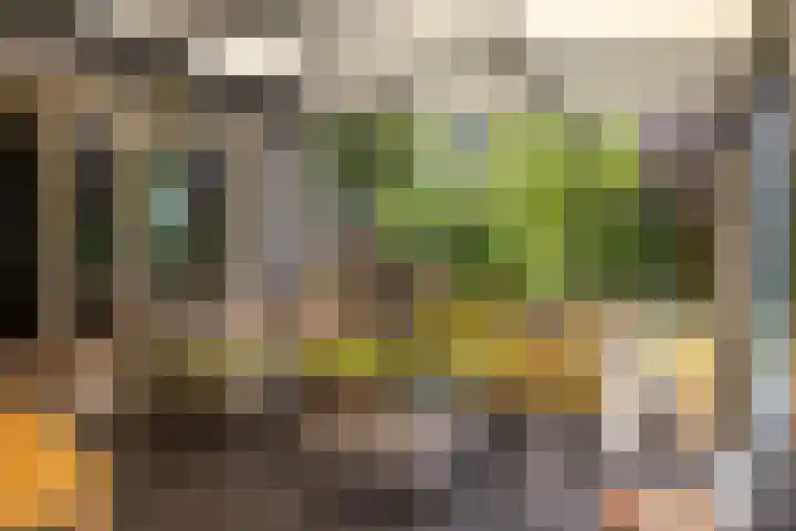De Oester 8 Kornhorn thumbnail 13