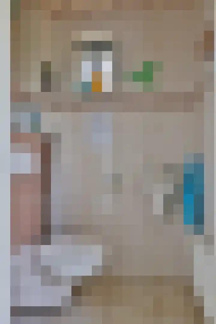 De Oester 8 Kornhorn thumbnail 25