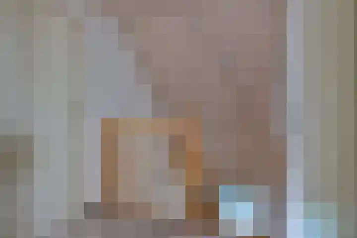 De Oester 8 Kornhorn thumbnail 31
