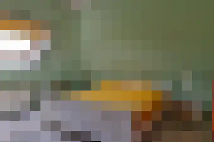 De Oester 8 Kornhorn thumbnail 32