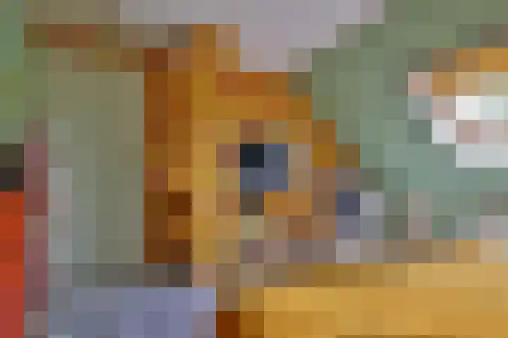 De Oester 8 Kornhorn thumbnail 33