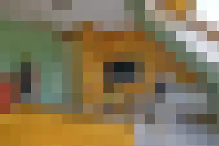 De Oester 8 Kornhorn thumbnail 34