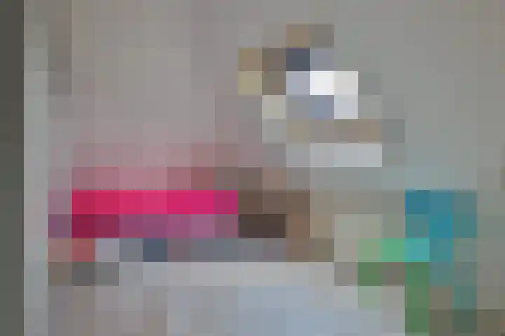 De Oester 8 Kornhorn thumbnail 35