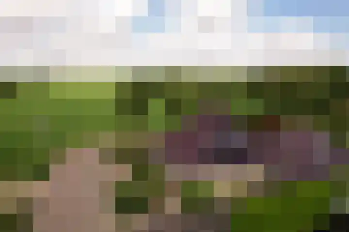 De Oester 8 Kornhorn thumbnail 4