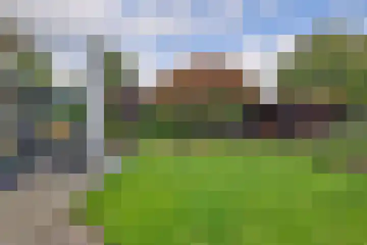 De Oester 8 Kornhorn thumbnail 42