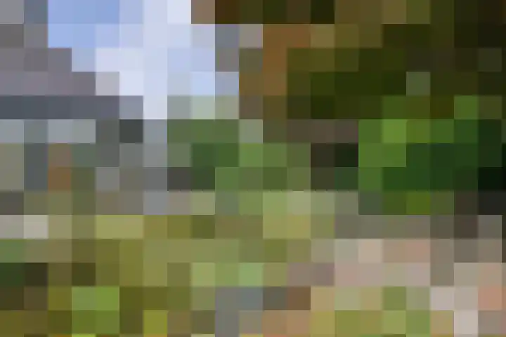 De Oester 8 Kornhorn thumbnail 43