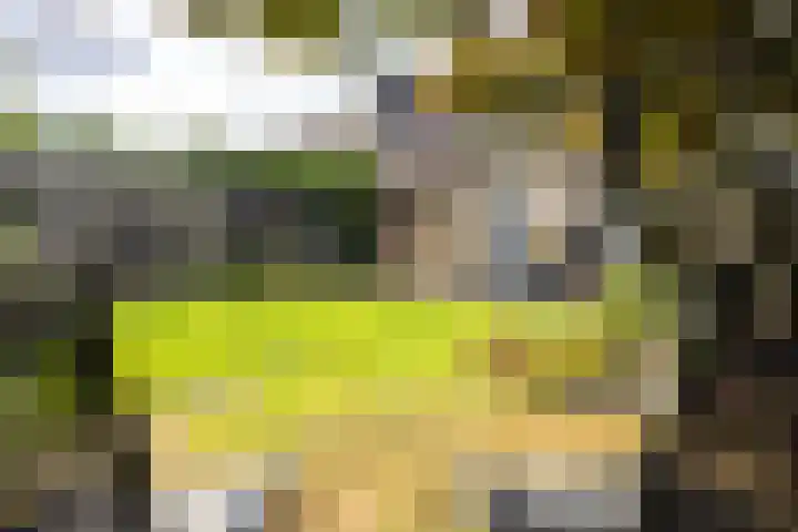 De Oester 8 Kornhorn thumbnail 44