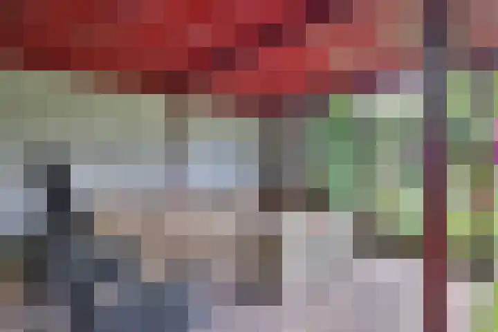 De Oester 8 Kornhorn thumbnail 45