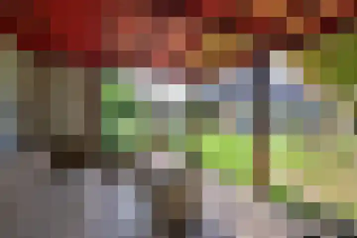 De Oester 8 Kornhorn thumbnail 46